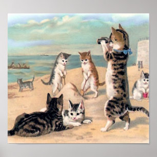 Cute Cat Fun at the Beach Poster
