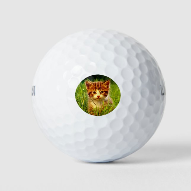 CUTE-CAT GOLF BALLS (Front)