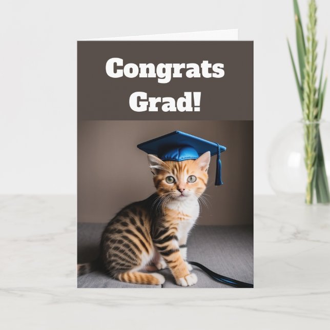 Cute Cat Graduation  Card (Front)