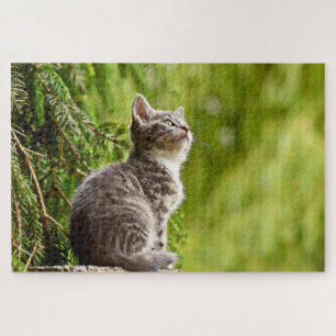 Cute Cat Gray Kitten Green Pine Tree Jigsaw Puzzle