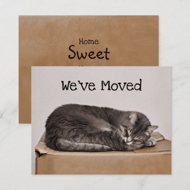 Cute Cat Grey Sleeping On Box Moving Card (Front/Back)