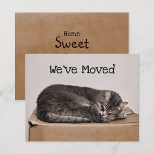 Cute Cat Grey Sleeping On Box Moving Card