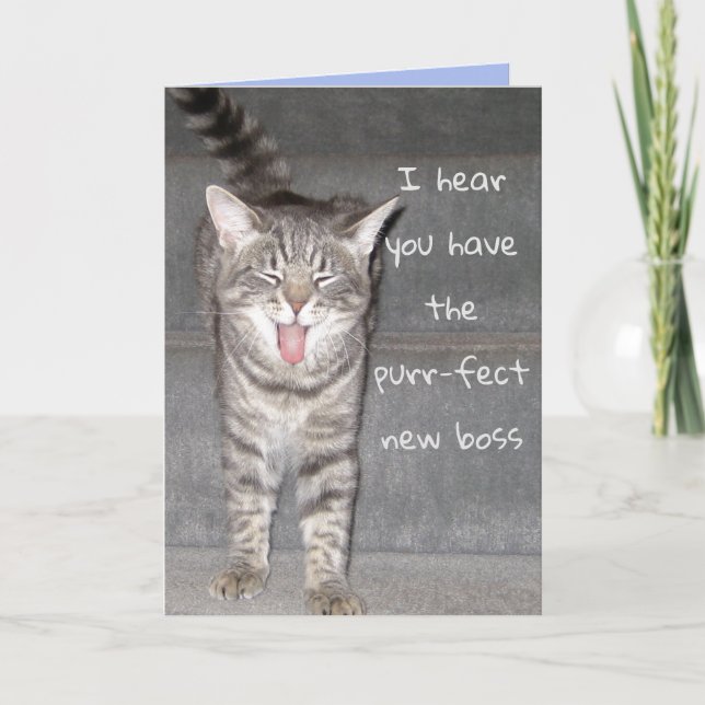 Cute Cat Happy Retirement Card (Front)