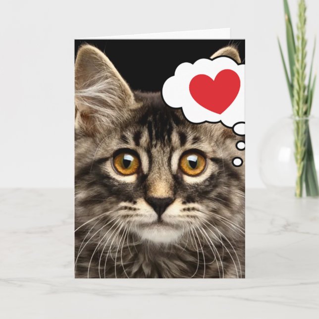 Cute Cat Heart Valentine's Day Greeting Card (Front)