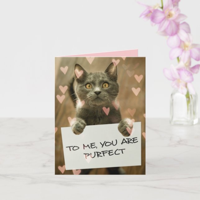 Cute Cat & Hearts You are Purfect Card (Orchid)