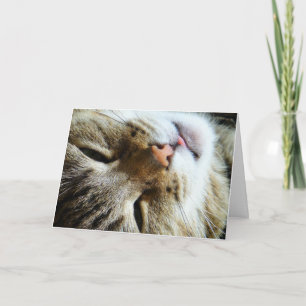 Cute Cat Hi Hello How are you Fun Greeting Card