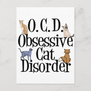 Cute Cat Humour Postcard