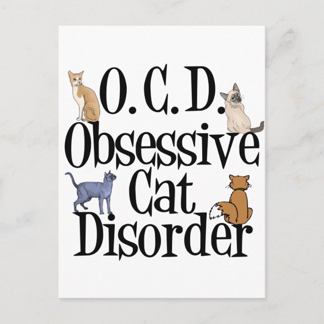 Cute Cat Humour Postcard (Front)