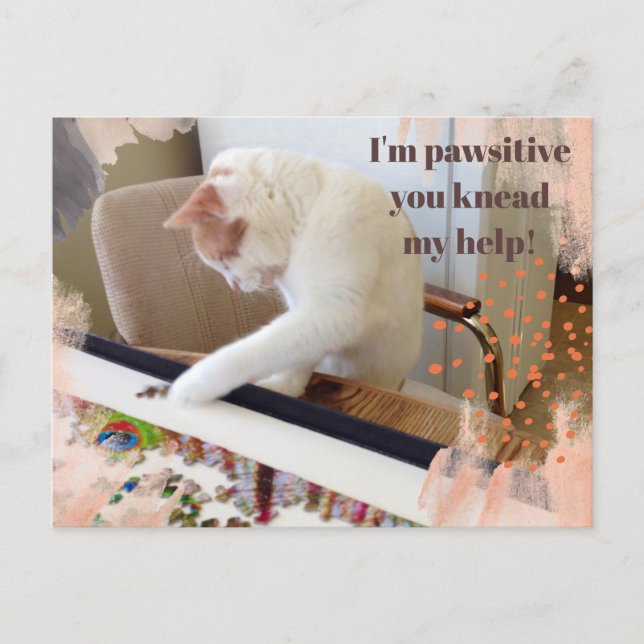 Cute Cat "I'm pawsitive you knead my help" Postcard (Front)