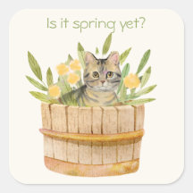 Cute Cat in a Barrel of Flowers