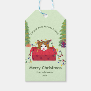 Cute Cat in a Box Here for the Boxes Christmas Gift Tags