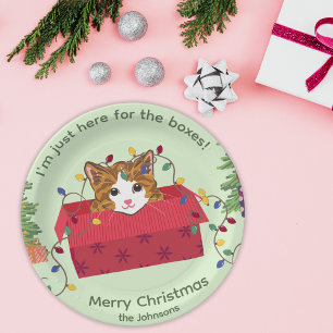 Cute Cat in a Box Here for the Boxes Christmas Paper Plate