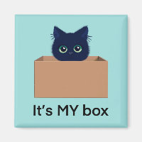 Cute cat in a box on blue-green