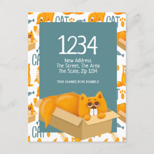 Cute Cat in a Box - We Have Moved Home Postcard