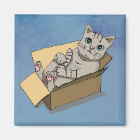 Cute Cat in a Cardboard Box Drawing