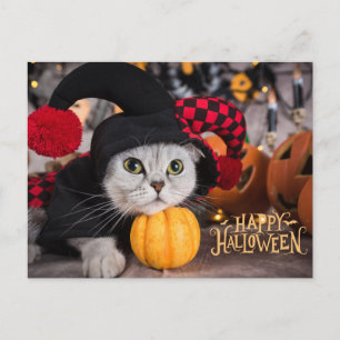 Cute Cat in Funny Halloween Costume  Holiday Postcard