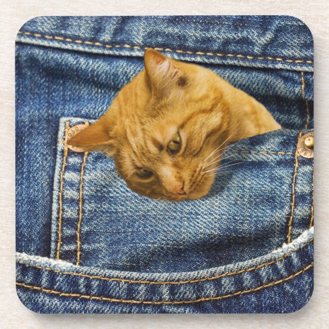 Cute cat in jeans pocket funny illusion coaster (Front)