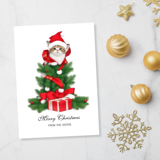 Cute Cat in Red Santa Hat Christmas Personalised Holiday Card (Cute Cat in red santa hat Christmas Holiday Card)