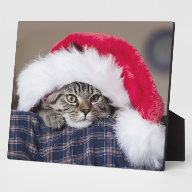 Cute cat in santa hat plaque (Side)