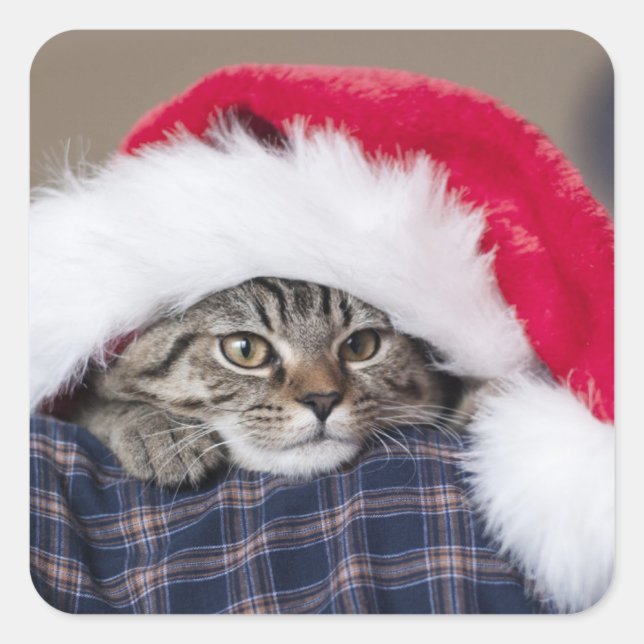 Cute cat in santa hat square sticker (Front)