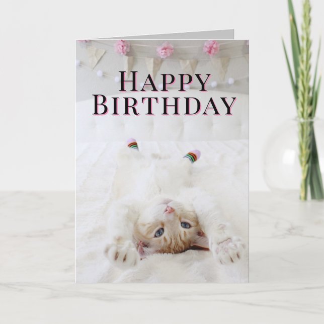 Cute Cat In Socks Birthday Greeting Card (Front)