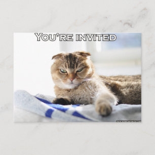 Cute cat invitation for a party