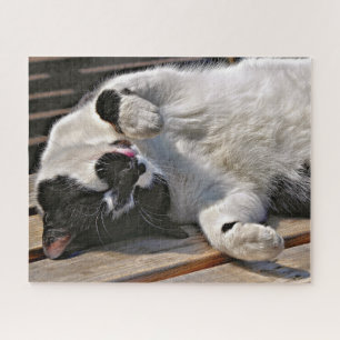 CUTE CAT JIGSAW PUZZLE
