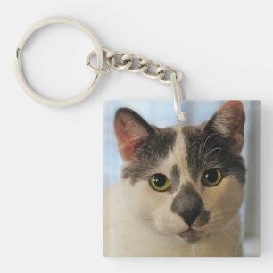 Cute Cat Key Ring