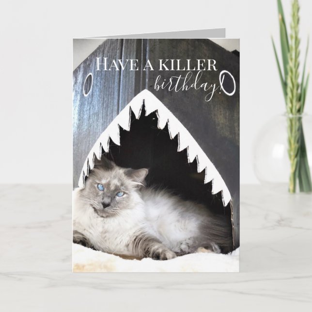 Cute Cat Killer Shark Birthday Greeting Card (Front)