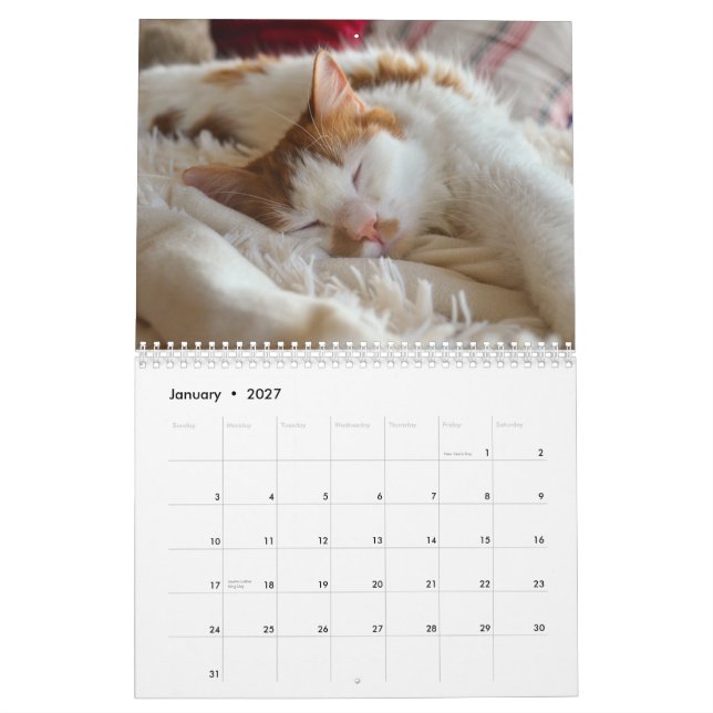 Cute Cat & Kitten 2023 Calendar (Jan 2027)