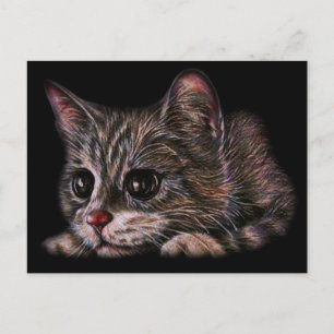 Cute Cat Kitten Art Drawing for Cat Lovers Postcard