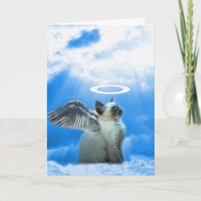 Cute Cat Kitten Christmas Card (Front)