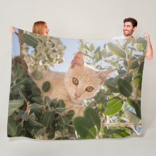 Cute Cat Kitten climbing in an Eucalyptus Tree - Fleece Blanket