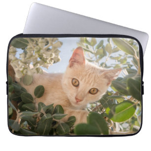 Cute Cat Kitten climbing in an Eucalyptus Tree -- Laptop Sleeve