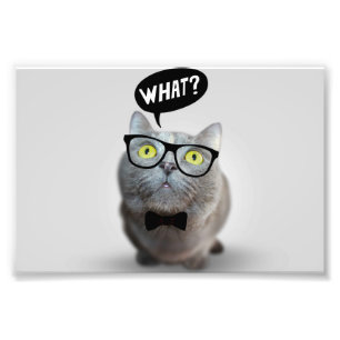 Cute Cat kitten with glasses what quote funny Photo Print