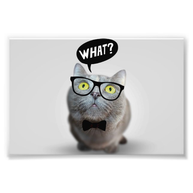 Cute Cat kitten with glasses what quote funny Photo Print (Front)
