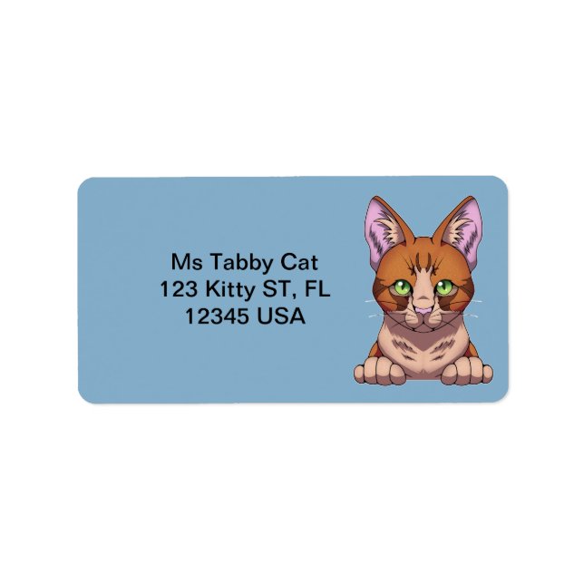 Cute Cat Label (Front)
