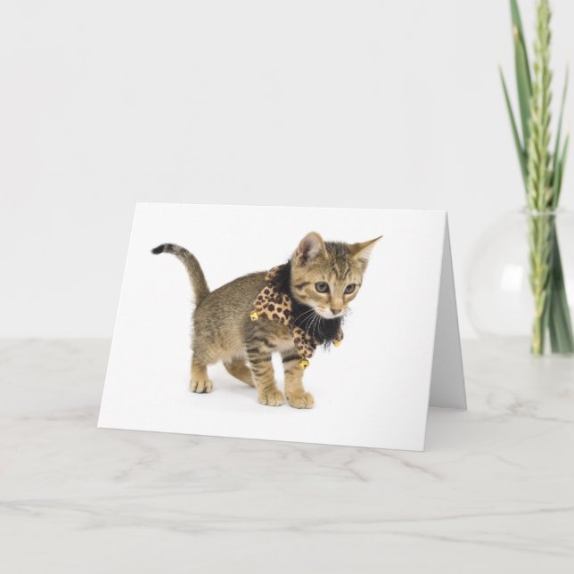 Cute Cat Leopard Print Collar Birthday Card (Front)
