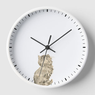 Cute Cat Looking at Clock Hands - Sweet Pet Humor