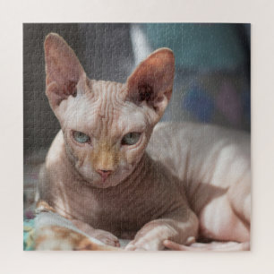 Cute Cat Lounging with no Fur Jigsaw Puzzle