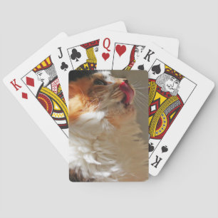 Cute Cat Lovely Photograph Playing Cards