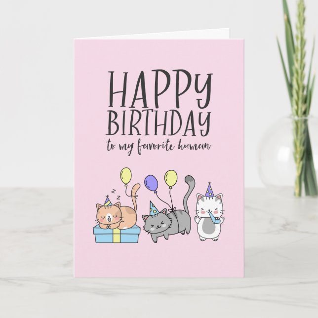 Cute Cat Lover Kittens Party Hat Funny Birthday Card (Front)
