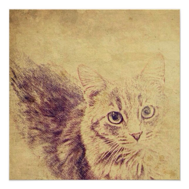 Cute cat lover pencil sketch grey tabby cat poster (Front)