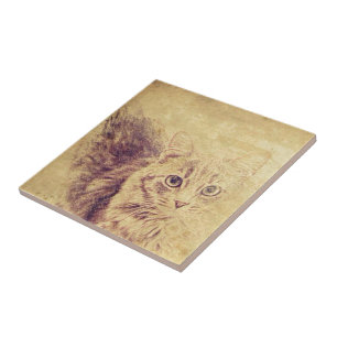 Cute cat lover pencil sketch grey tabby cat tile