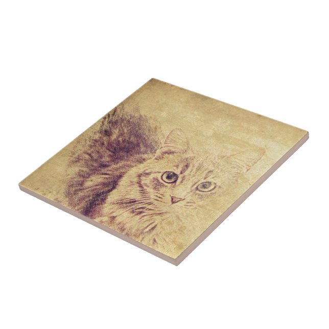 Cute cat lover pencil sketch grey tabby cat tile (Side)