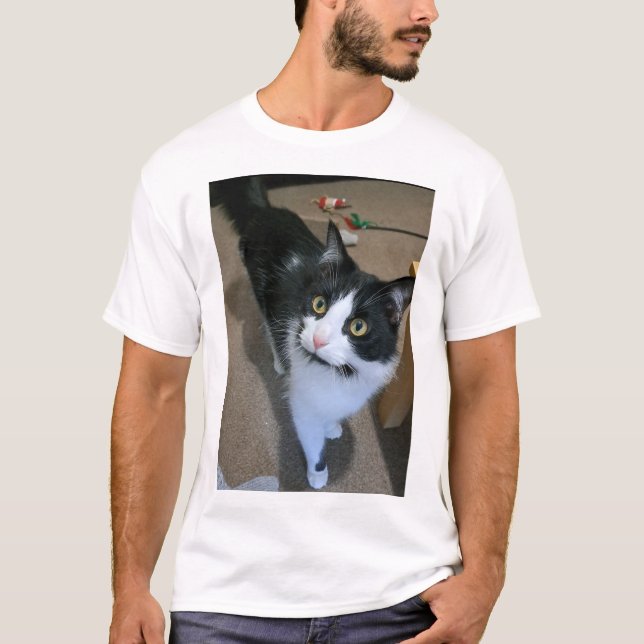 Cute cat men's tshirt  (Front)