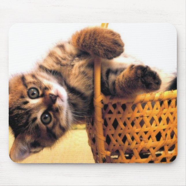 Cute cat mouse mat (Front)