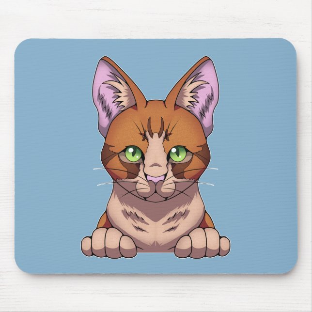Cute Cat Mouse Mat (Front)