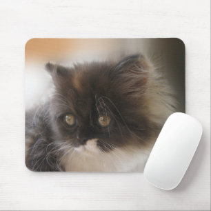 Cute Cat Mouse Mat