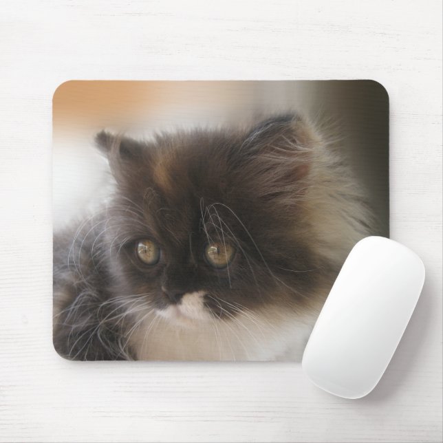 Cute Cat Mouse Mat (With Mouse)